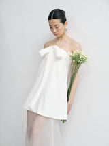 Kylie Vestido y Falda de organza